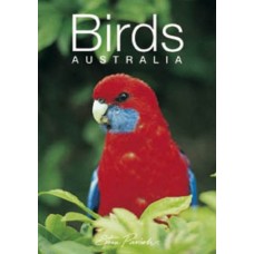 Mini Souvenir Book: Birds, Australia